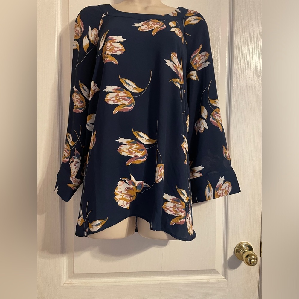 Daniel Rainn Blue Relaxed Long Sleeve Tunic